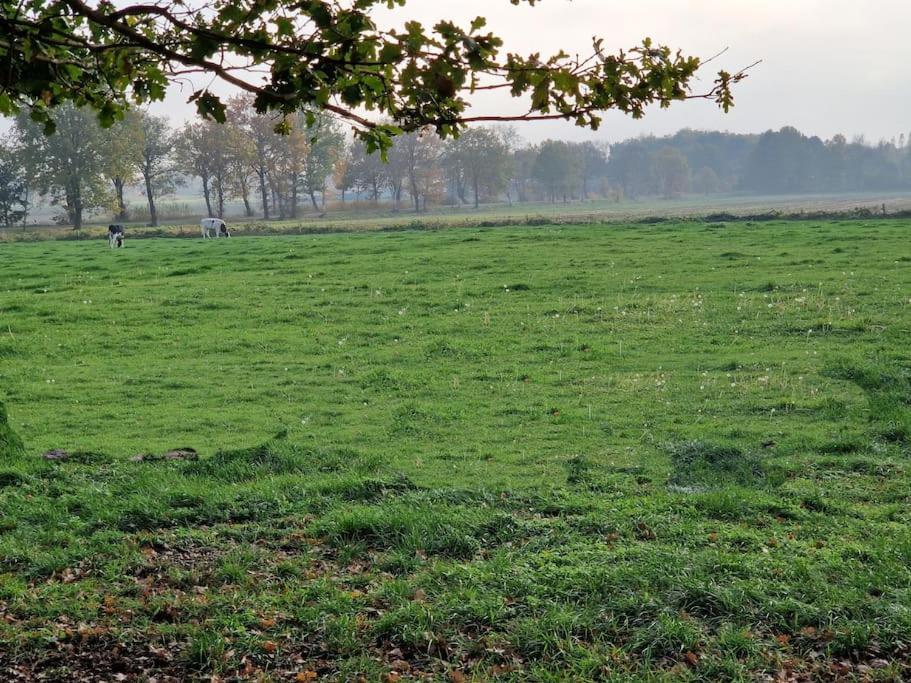 Gemuetliche Wohnung Direkt Am Kuestenkanal! Wardenburg ภายนอก รูปภาพ